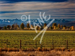 COLORADO Montrose